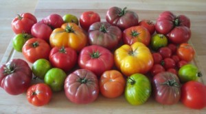 Heirloom tomatoes