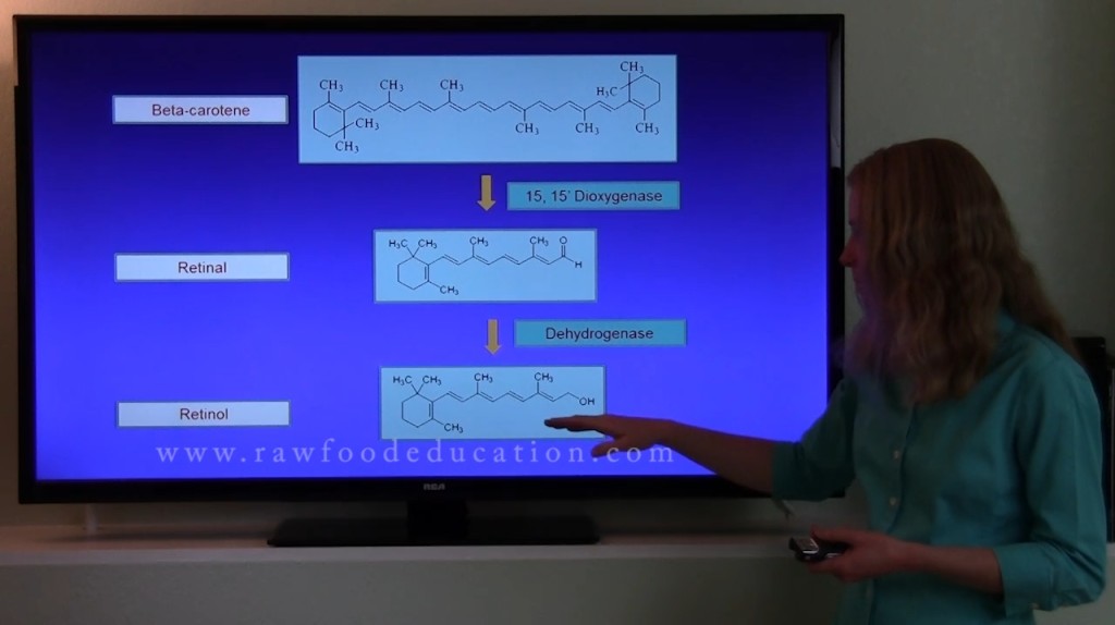 Beta carotene conversio to retinol