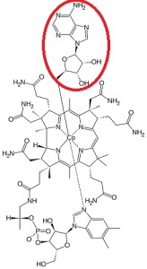 Adenosylcobalamin1