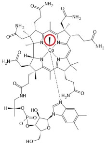 Methylcobalamin1